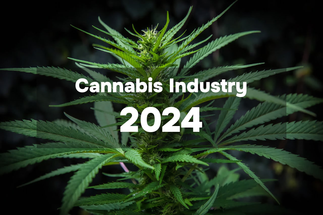 Cannabis Industry Digest 2024